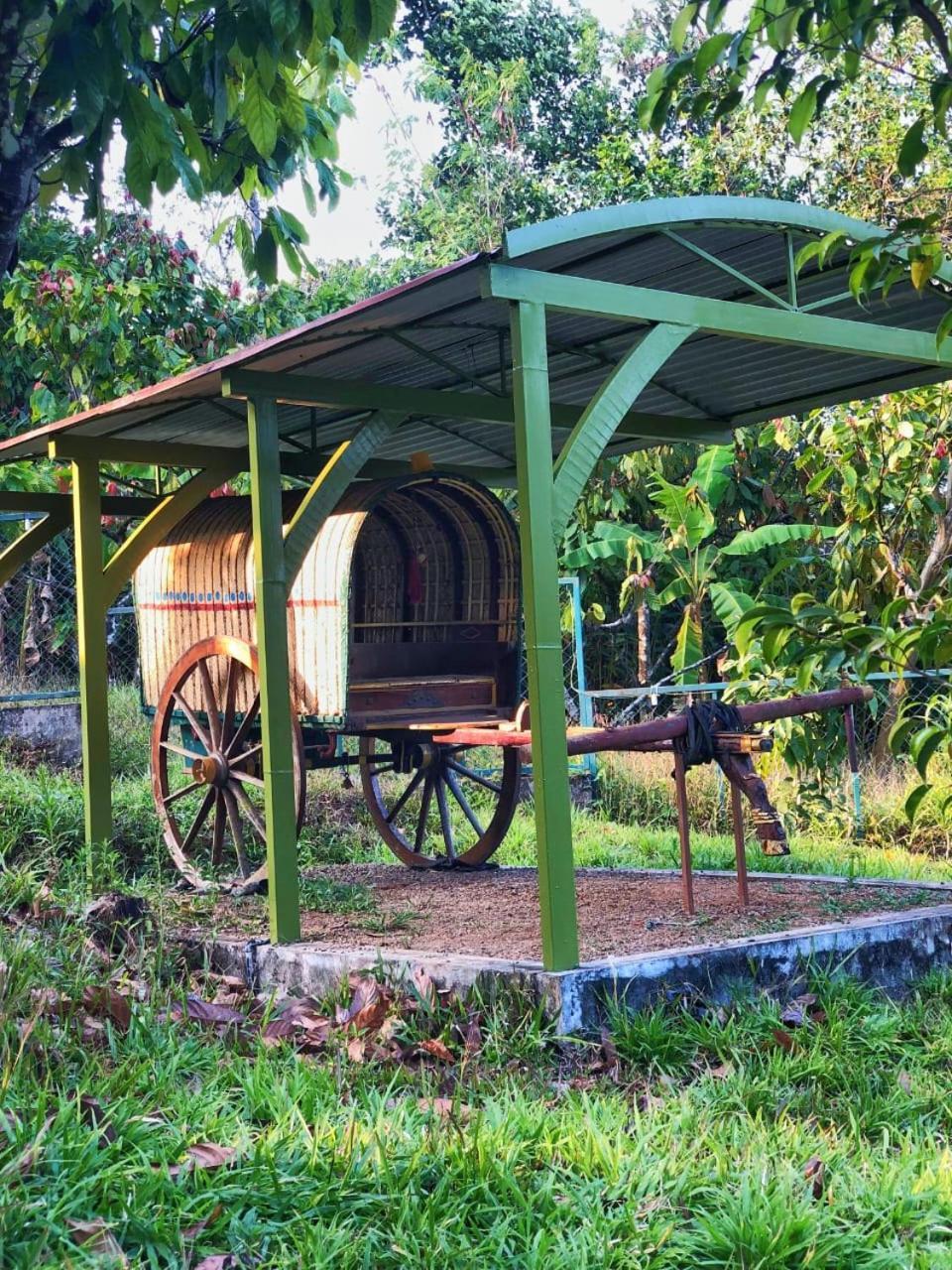 Traditional Villa Мунар Екстериор снимка